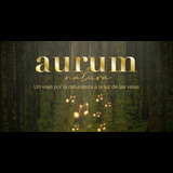 AURUM: Natura - Un viaje por la naturaleza a la luz de las velas Sabado 26 Octubre 2024