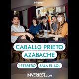 Caballo Prieto Azabache en Madrid Sabado 1 Febrero 2025