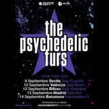 Concierto de The Psychedelic Furs en Madrid Viernes 13 Septiembre 2024