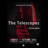 Concierto de The Telescopes en Madrid Viernes 11 Octubre 2024