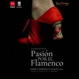Concierto Pasión por el Flamenco en Madrid Del Sabado 15 Junio al Lunes 30 Septiembre 2024