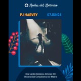 Concierto PJ HARVEY en Madrid Viernes 7 Junio 2024