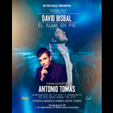 Concierto Tributo David Bisbal: El Alma En Pie en Madrid Jueves 1 Agosto 2024