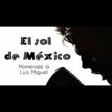 El sol de México. Homenaje a Luis Miguel Viernes 22 Noviembre 2024