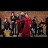 Espectaculo de Flamenco en histórica cueva. Del Lunes 20 Enero al Sabado 8 Febrero 2025