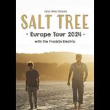 Concierto de Salt Tree en Madrid Wednesday 27 November 2024