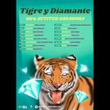 Concierto de Tigre y Diamante en Madrid Friday 25 October 2024