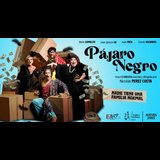 Pájaro Negro From Thursday 31 October to Thursday 28 November 2024